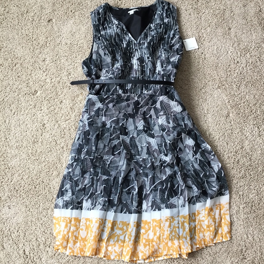 NWT Belted Graphic Dress